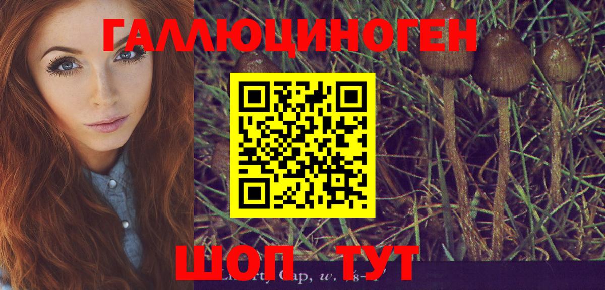 Галлюциногенные грибы мухоморы  Вход с VPN  Псилоцибиновые грибы мухоморы  купить закладку  Алексин 
